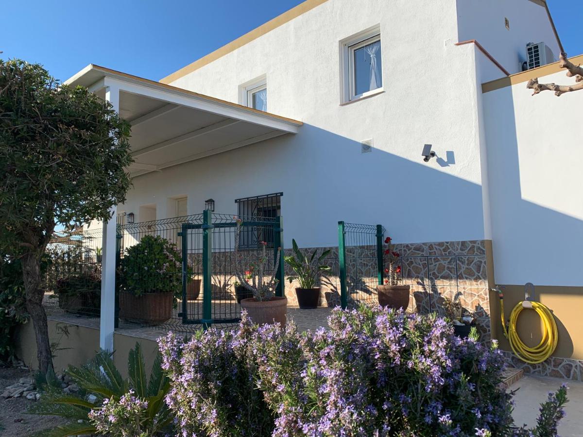 Casa Enric , Con Zona Infantil, Piscina Y Parking Privado Pensionat Deltebre Eksteriør billede