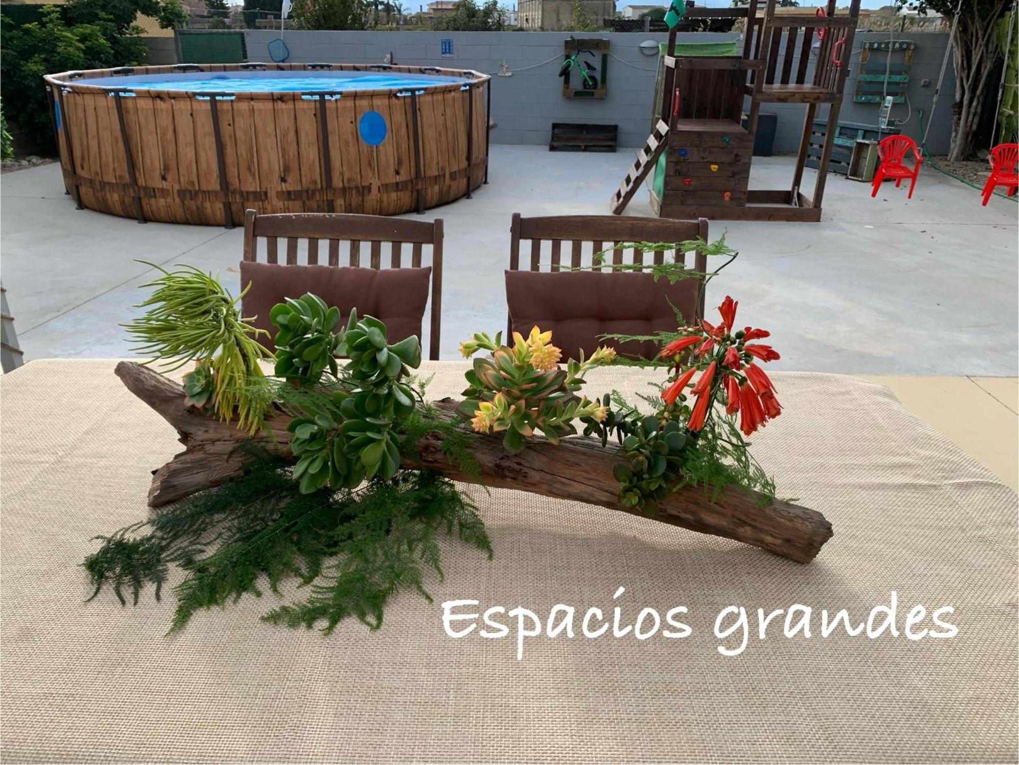 Casa Enric , Con Zona Infantil, Piscina Y Parking Privado Pensionat Deltebre Eksteriør billede
